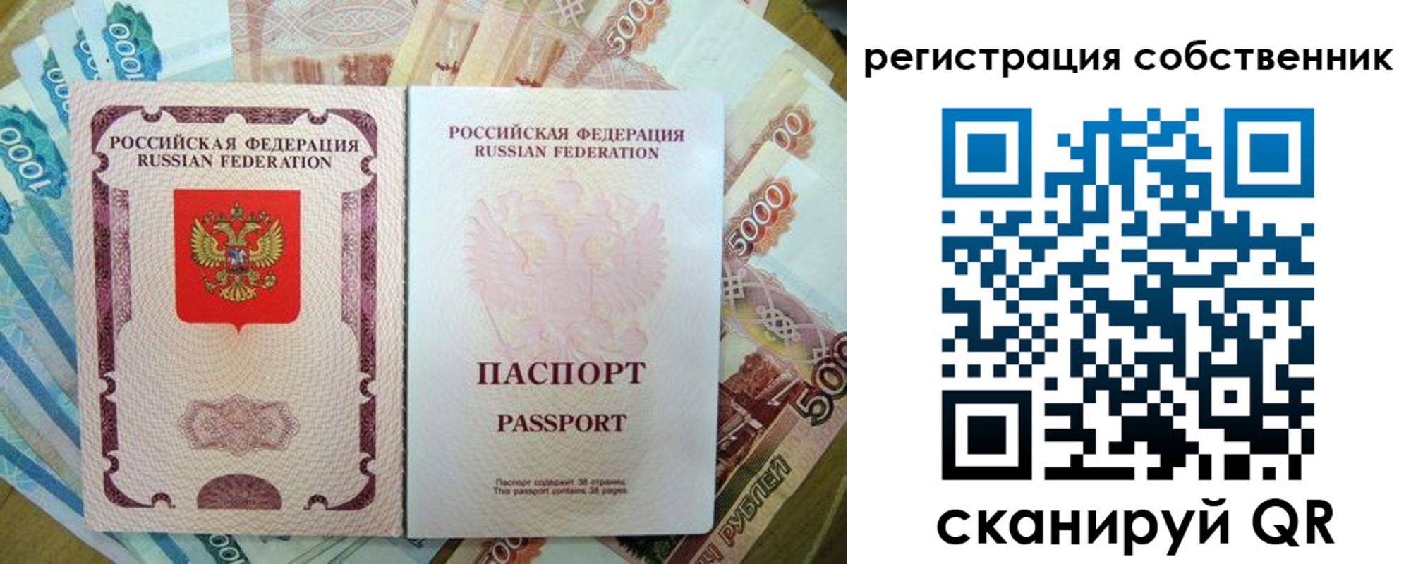 прописка гарантия в Коряжме